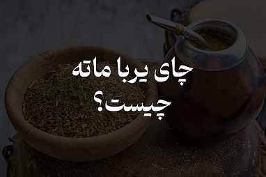 یربا ماته چیست؟ خواص، طرز تهیه و راهنمای خرید یربا ماته اصل در ایران